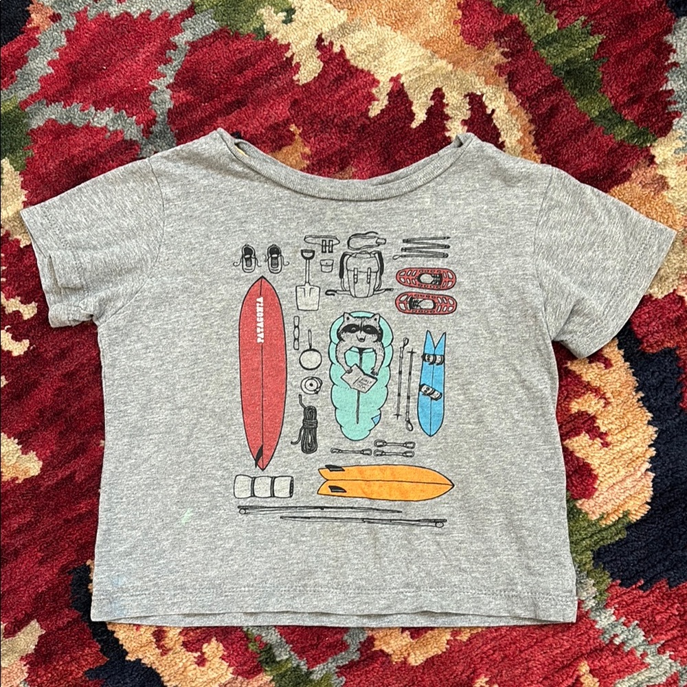 Patagonia organic cotton T shirt